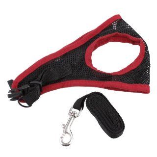 Comfort Control Harness, Chest Range From 19.5" to 22" : Pet Halter Harnesses : Pet Supplies