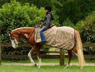 EOUS Fleece Quarter Sheet Horse Blanket: Sports & Outdoors