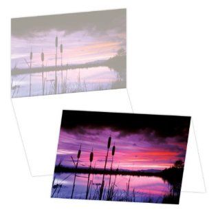 ECOeverywhere Cattail Sunset Boxed Card Set, 12 Cards and Envelopes, 4 x 6 Inches, Multicolored (bc12276) : Blank Postcards : Office Products