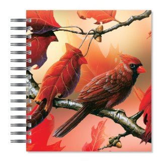 ECOeverywhere Season's Change Picture Photo Album, 18 Pages, Holds 72 Photos, 7.75 x 8.75 Inches, Multicolored (PA10955): Office Products