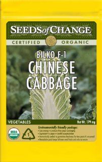 Seeds of Change S20300 Certified Organic Bilko F 1 Chinese Cabbage, 50 Seed Count : Vegetable Plants : Patio, Lawn & Garden