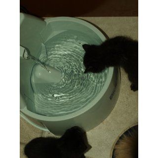 Drinkwell Big Dog Pet Fountain : Pet Self Waterers : Pet Supplies