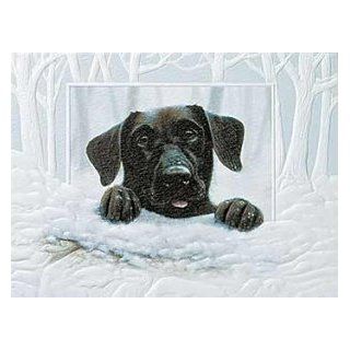Let's Play Black Lab Christmas Cards: Sports & Outdoors