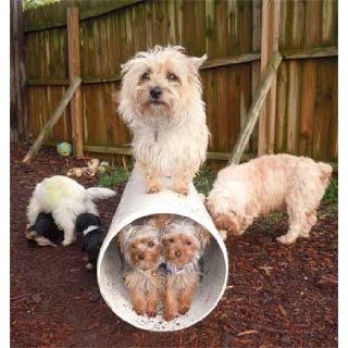 Earthborn Holistic, Puppy Vantage, 28# : Dry Pet Food : Pet Supplies