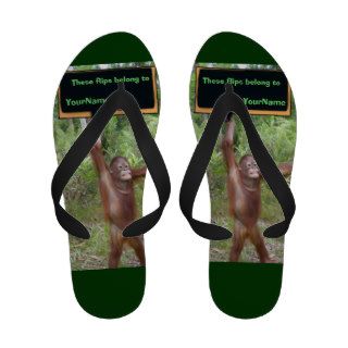 Funny Orangutan Monkey Business for Feet Flip Flops
