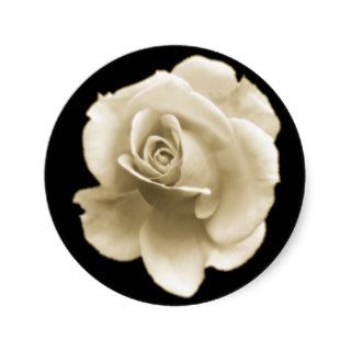 Single white Rose Warm Sticker
