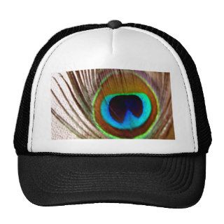 Peacock Feather Trucker Hats