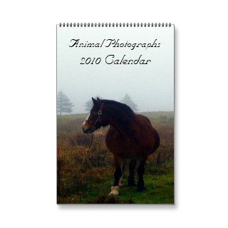 Animal Photographs, 2010 Calendar