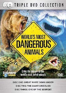 World's Most Dangerous Animals: Movies & TV
