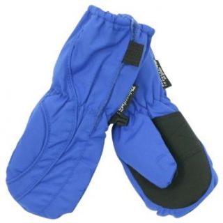 Toddler Boy's (2   4) Long Thinsulate Lined / Wateproof Ski Mittens   Royal: Clothing