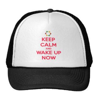 keep calm and wake up now 24.png trucker hats