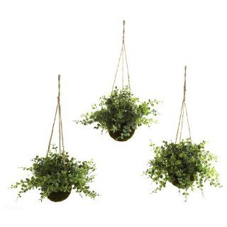 Nearly Natural 6741 S3 Eucalyptus Maiden Hair Berry Hanging Basket, Green, Set of 3   Artificial Floral Arrangements
