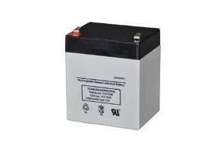 RT1250 12 Volt 5 AmpH SLA Replacement Battery with F1 Terminal: Automotive
