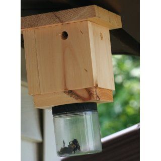 Bees N Things Carpenter Bee Trap : Insect Traps : Patio, Lawn & Garden