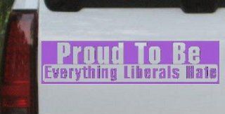 Purple 8in X 2in    Proud To Be Everything That Liberals Hate Political Car Window Wall Laptop Decal Sticker: Automotive