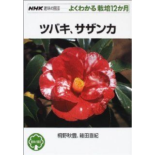 (12 months cultivation can be seen well gardening hobby NHK) Camellia sasanqua (2001) ISBN: 4140401818 [Japanese Import]: Kirino rich autumn: 9784140401811: Books