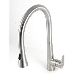 eModern Decor Ariel Single Handle Kitchen Faucet with Pull Out Sprayer