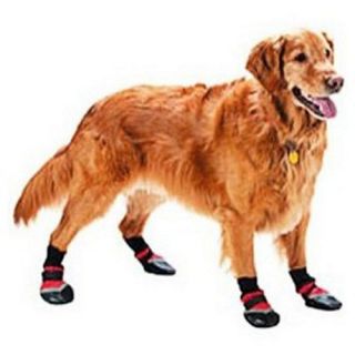 Ethical Pet Extreme All Weather Boots for Dogs   Clothes