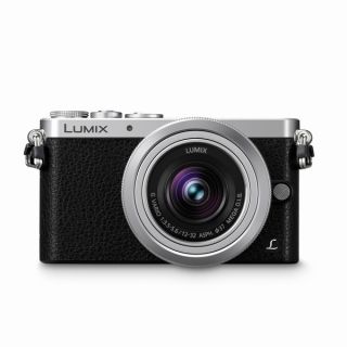 Panasonic Lumix DMC GM1 Mirrorless Micro Four Thirds Digital Camera
