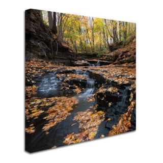 Late Autumn Falls by Kurt Shaffer Photographic Print Gallery Wrapped