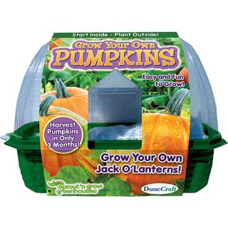 DuneCraft Grow Your Own Pumpkins