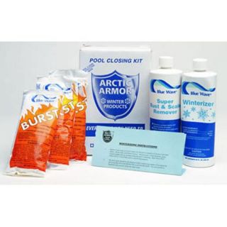 Arctic Armor Swimming Pool Winterizing Chemical KChemicals: Chlorine (NY912)