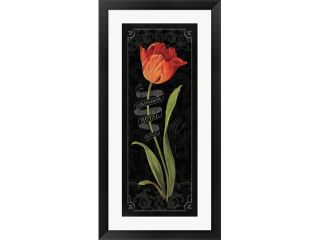 Tulipa Botanica II by Lisa Audit Framed Art, Size 15.5 X 30.5