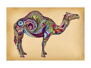 Camel Poster Print by Green Girl Canvas (19 x 13)
