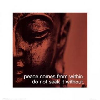 Buddha   iPhilosophy   Peace Comes From Within Poster Print (16 x 16)