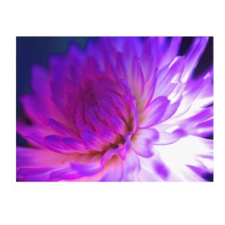 Dahlia in Bloom Oversized Gallery Wrapped Canvas