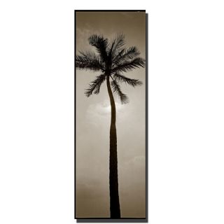 Palm by Preston Photographic Print on Canvas