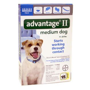 Advantage II for Dogs between 11 20 lbs 6 Month Supply   Pet Supplies
