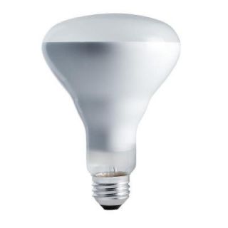 Philips 65 Watt 130 Volt Incandescent BR30 Flood Light Bulb (12 Pack) 140079