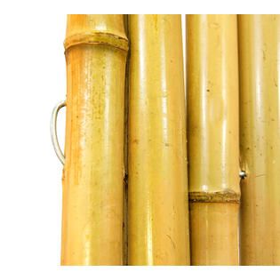 Backyard X Scapes  Rolled Bamboo Fencing  1 In. D x 6 Ft. H x 6 Ft. L