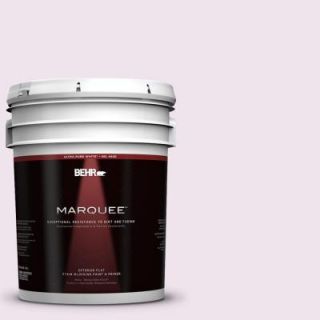 BEHR MARQUEE 5 gal. #670C 1 November Pink Flat Exterior Paint 445005