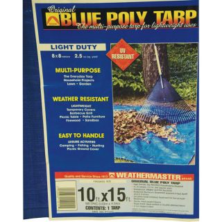 Dize Blue Poly Tarp — 10ft. x 15ft., Model# PT1015  Blue   Green Tarps