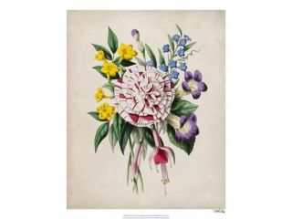 Spring Posy IV Poster Print by Winslow Peachy (18 x 22)