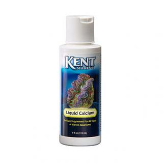 Central Aquatics Knt Supplement Liquid Calcium 64 oz.