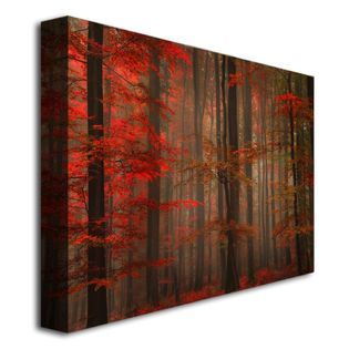Trademark Fine Art  30x47 inches Philippe Sainte Laudy Enchanting Red