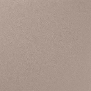 Ralph Lauren 13 in. x 19 in. #RR128 Dry Bed River Rock Specialty Paint Chip Sample RR128C