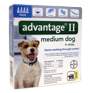Advantage II for Dogs between 11 20 lbs 4 Month Supply   Pet Supplies