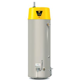 BTX 80 Commercial Tank Type Water Heater Nat Gas 50 Gal Cyclone HE