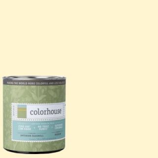 Colorhouse 1 qt. Air .04 Eggshell Interior Paint 662144