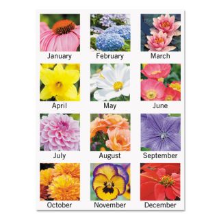 AT A GLANCE 2016 Antique Floral Monthly Desk Pad Calendar  