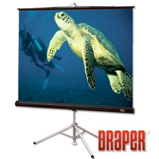 Diplomat Pearl White Portable Projection Screen