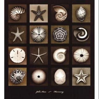 Harmony Poster Print by John Kuss (30 x 33)
