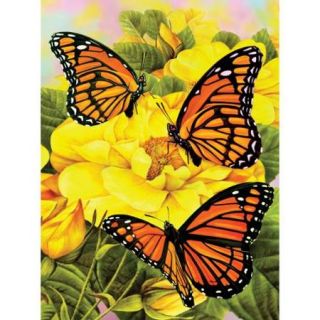 Junior Small Paint By Number Kit 8 3/4"X11 3/4" Majestic Monarchs