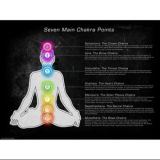 Seven Main Chakra Points Poster Print (24 x 18)