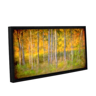 Into The Wood by David Kyle Gallery Wrapped Floater Framed Canvas by