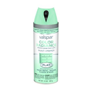 Valspar Color Radiance Destiny Fade Resistant Enamel Spray Paint (Actual Net Contents: 12 oz)